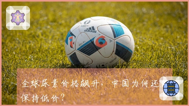 全球尿素价格飙升，中国为何还能保持低价？