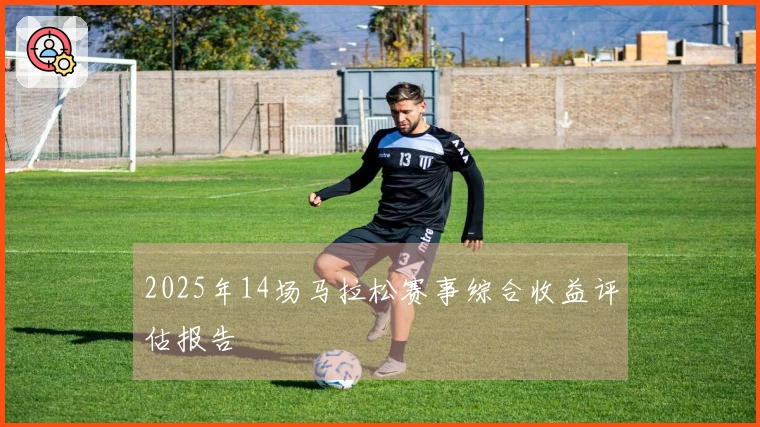 2025年14场马拉松赛事综合收益评估报告