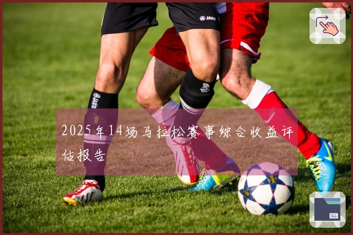 2025年14场马拉松赛事综合收益评估报告