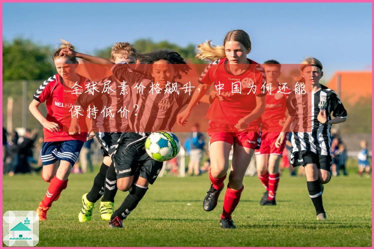 全球尿素价格飙升，中国为何还能保持低价？