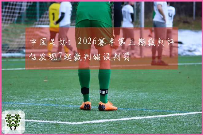 中国足协：2026赛季第三期裁判评估发现7起裁判错误判罚